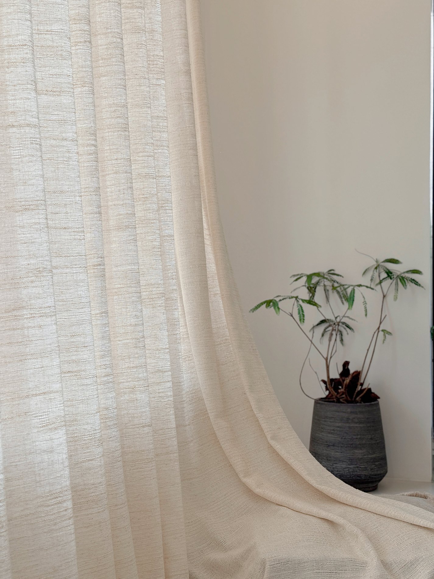 Light sheer fabric draping softly near a potted plant